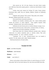 Brangakmenių klasifikavimas 9 puslapis