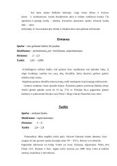 Brangakmenių klasifikavimas 10 puslapis