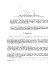 Tobuloji, monopolinė, oligopolinė, duopolinė konkurencija 11 puslapis