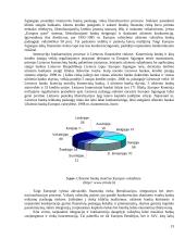 Tobuloji, monopolinė, oligopolinė, duopolinė konkurencija 13 puslapis