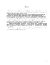 Tobuloji, monopolinė, oligopolinė, duopolinė konkurencija 3 puslapis