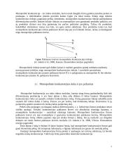 Tobuloji, monopolinė, oligopolinė, duopolinė konkurencija 7 puslapis