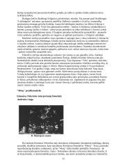 Teatro režisierius Eimuntas Nekrošius 15 puslapis