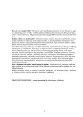 Teatro režisierius Eimuntas Nekrošius 3 puslapis