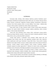 Muziejų veikla tenkinant kultūrinius poreikius Kaišiadorių rajone 2 puslapis