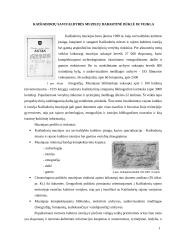 Muziejų veikla tenkinant kultūrinius poreikius Kaišiadorių rajone 13 puslapis