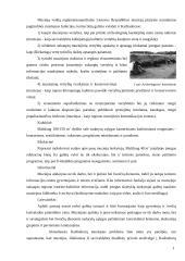 Muziejų veikla tenkinant kultūrinius poreikius Kaišiadorių rajone 15 puslapis