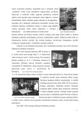 Muziejų veikla tenkinant kultūrinius poreikius Kaišiadorių rajone 16 puslapis