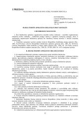Biudžetinės įstaigos vyriausiojo buhalterio pareigybės pasas 11 puslapis