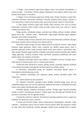 Biudžetinės įstaigos vyriausiojo buhalterio pareigybės pasas 14 puslapis