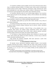 Biudžetinės įstaigos vyriausiojo buhalterio pareigybės pasas 17 puslapis