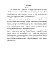 Draudimo paslaugos 2 puslapis