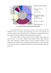 Draudimo paslaugos 12 puslapis