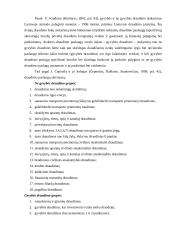 Draudimo paslaugos 7 puslapis