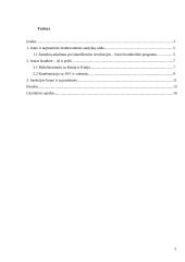 Irano klausimas Jungtinių Tautų Organizacijos (JTO) darbotvarkėje 2 puslapis