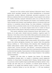 Irano klausimas Jungtinių Tautų Organizacijos (JTO) darbotvarkėje 3 puslapis