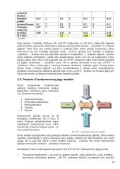 Strateginis auditas įmonėje: alkoholinių gėrimų gamyba UAB "Alita" 11 puslapis