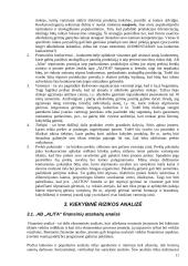 Strateginis auditas įmonėje: alkoholinių gėrimų gamyba UAB "Alita" 12 puslapis