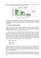 Strateginis auditas įmonėje: alkoholinių gėrimų gamyba UAB "Alita" 17 puslapis