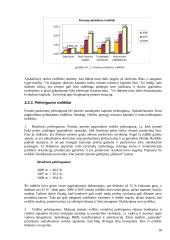 Strateginis auditas įmonėje: alkoholinių gėrimų gamyba UAB "Alita" 19 puslapis
