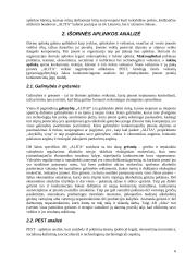 Strateginis auditas įmonėje: alkoholinių gėrimų gamyba UAB "Alita" 7 puslapis