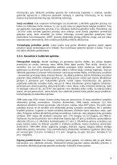 Strateginis auditas įmonėje: alkoholinių gėrimų gamyba UAB "Alita" 9 puslapis