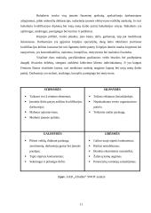 Verslo planas: grožio salonas UAB "Afroditė" 10 puslapis