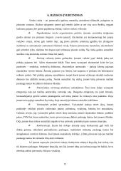 Verslo planas: grožio salonas UAB "Afroditė" 11 puslapis