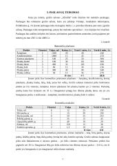 Verslo planas: grožio salonas UAB "Afroditė" 6 puslapis