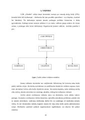 Verslo planas: grožio salonas UAB "Afroditė" 9 puslapis