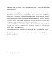 Patriotizmo esmė 2 puslapis