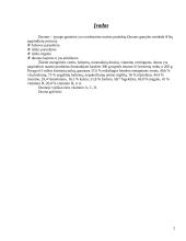 Duonos-pyrago gaminiai 2 puslapis