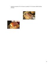 Duonos-pyrago gaminiai 15 puslapis