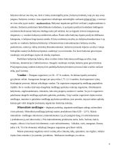 Duonos-pyrago gaminiai 6 puslapis