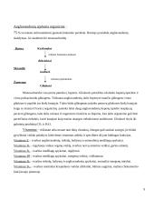 Duonos-pyrago gaminiai 9 puslapis