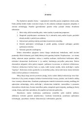 Moteriško proginio kostiumo projektavimas 6 puslapis