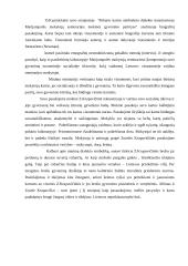 Gyvenimo istorijos. Straipsnių analizė 3 puslapis