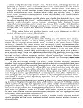 Saulius Tomas Kondrotas 2 puslapis