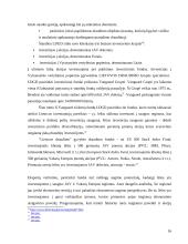 Draudimo fondai 16 puslapis