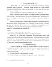 Finansų teisė 2 puslapis