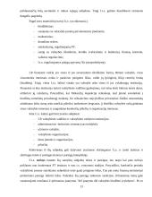 Finansų teisė 11 puslapis