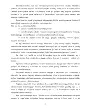 Finansų teisė 10 puslapis