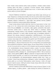 Kraujo reikšmė 4 puslapis