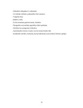Kūrybiškumas 19 puslapis