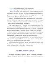 Kūrybiškumas 6 puslapis