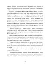 Kūrybiškumas 10 puslapis