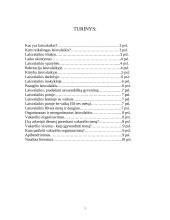 Kas yra ir kam reikalingas laisvalaikis