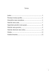 Paleolito menas 2 puslapis