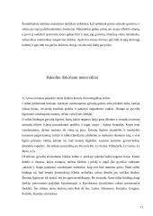 Paleolito menas 11 puslapis