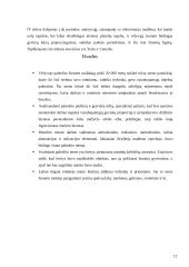 Paleolito menas 12 puslapis